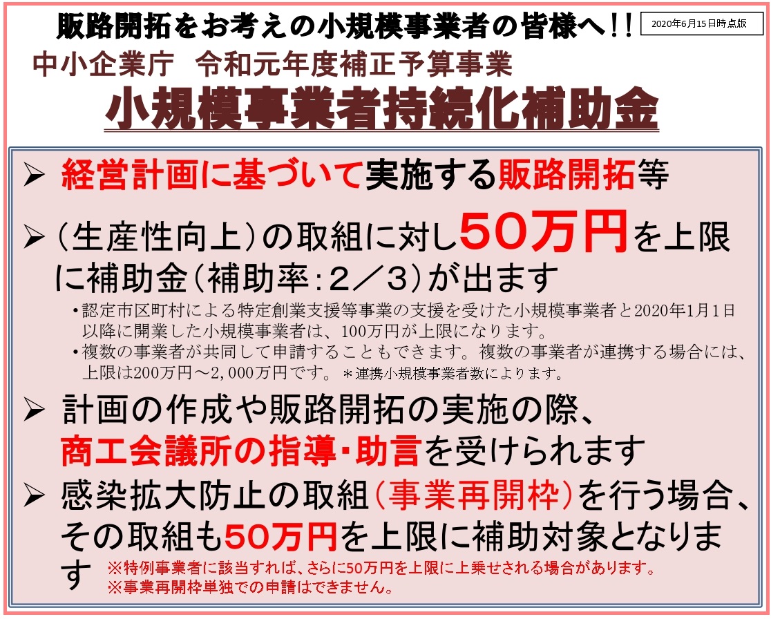 事業 小 者 補助 化 は 金 と 持続 規模